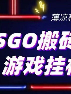 CSGO游戏挂G游戏搬砖最新升级，普通小白一部手机可日入3张+当天见结果，支持验证【揭秘】