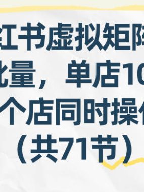 小红书虚拟矩阵：软件批量发笔记，单店100款，3个店同时操作（共71节）