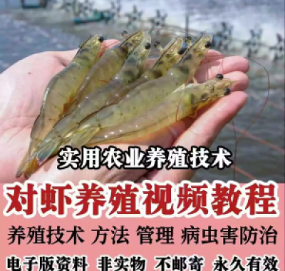 对虾养殖技术视频教学教程水质管理日常养护疾病防治南美白素材