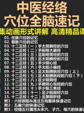 中医经络穴位全脑速记视频教学快速记忆动画形象加深记忆课程教程