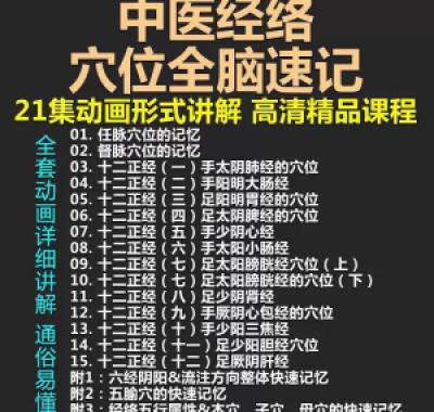 中医经络穴位全脑速记视频教学快速记忆动画形象加深记忆课程教程