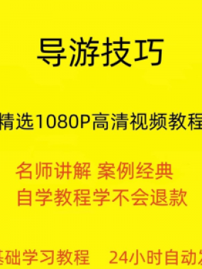 导游技巧视频教程新手自学零基础入门精通教学课程全集