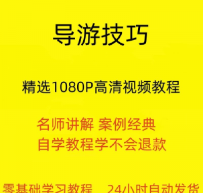 导游技巧视频教程新手自学零基础入门精通教学课程全集