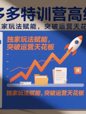 拼多多特训营高阶班，独家玩法赋能，突破运营天花板（更新26年1月）
