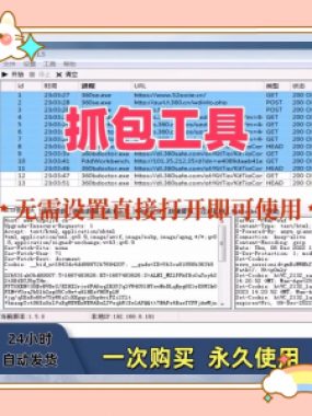 抓包工具无需设置直接打开即可使用可抓包基于sunny网络中间件