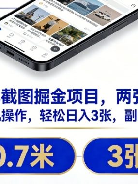 零成本截图掘金项目，两张0.7米，一部手机操作，轻松日入3张，副业新选择【揭秘】