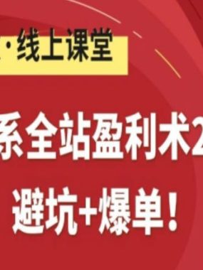 淘系全站盈利术2.0，避坑+爆单