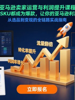 亚马逊卖家运营与利润提升课程，让你的每个SKU都成为爆款，让你的亚马逊利润一路飙升（更新12月）
