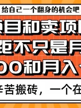 为什么卖项目能轻松月入10个W，而做项目却真正賺不到什么钱？原因竟然是这个！【揭秘】