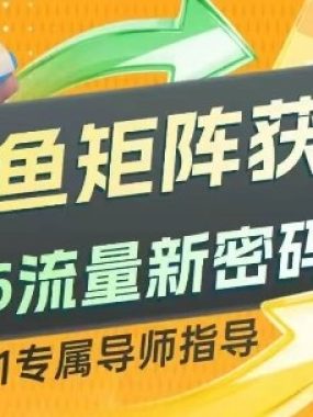 闲鱼矩阵获客，2026流量新密码，只要闲鱼还在，你的行业就有无限精准的客源