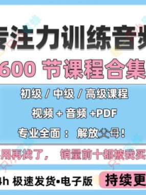 儿童专注力教程听觉注意力训练分阶全套音频视频课程早教电子版