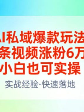 AI私域爆款玩法，单条视频涨粉6W+，小白也可实操