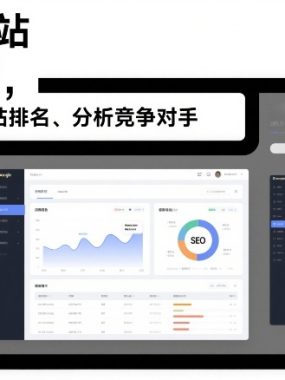 谷歌独立站SEO运营，手把手教你提升网站排名、分析竞争对手（更新2026）