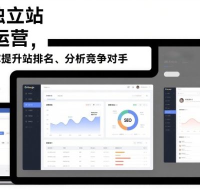 谷歌独立站SEO运营，手把手教你提升网站排名、分析竞争对手（更新2026）