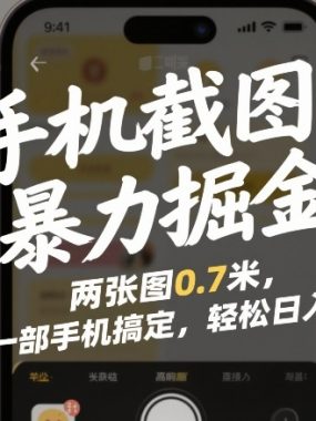 手机截图暴力掘金！两张图0.7米，一部手机搞定，轻松日入3张【揭秘】