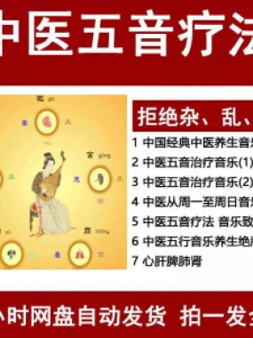 中医音乐疗法五行五音频视频养生馆全套宫商角徵疗愈解压音药mp3