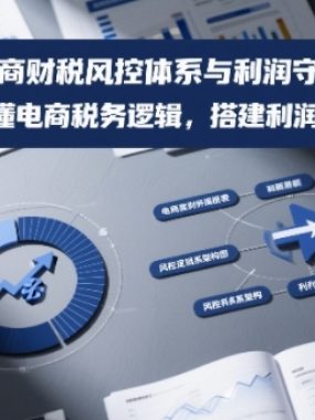电商财税风控体系与利润守护，3天看懂电商税务逻辑，搭建利润防御系统
