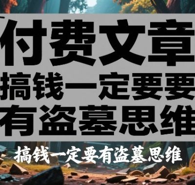 付费文章：搞钱一定要有盗墓思维