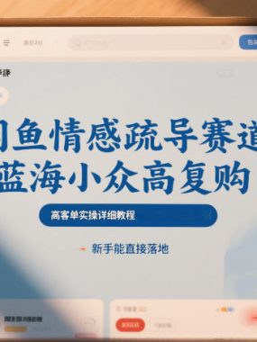 闲鱼情感疏导赛道，蓝海小众高复购，高客单实操详细教程，新手能直接落地