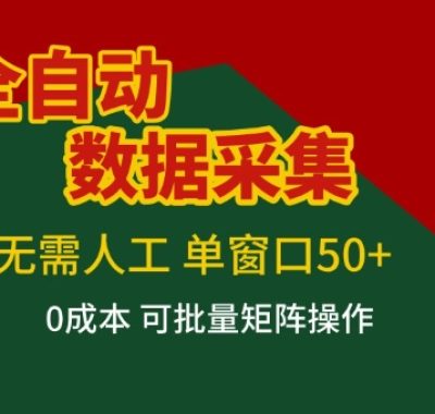 全自动数据采集项目，无需人工，单窗口可达50+收益，操作简单无难度，一个人也能轻松实现矩阵【揭秘】