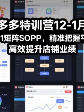 拼多多特训营12-1月份，全新3.01矩阵Sop，精准把握平台红利，高效提升店铺业绩