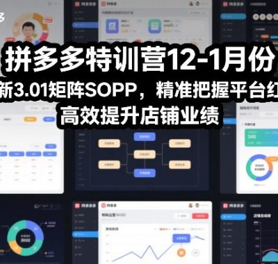 拼多多特训营12-1月份，全新3.01矩阵Sop，精准把握平台红利，高效提升店铺业绩