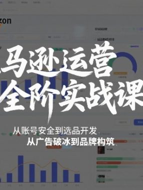 亚马逊运营全阶实战课，从账号安全到选品开发，从广告破冰到品牌构筑（更新2026）